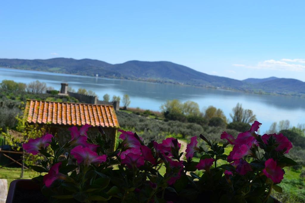 Fattoria Il Poggio Villa ซาน เฟลิชิอาโน ภายนอก รูปภาพ