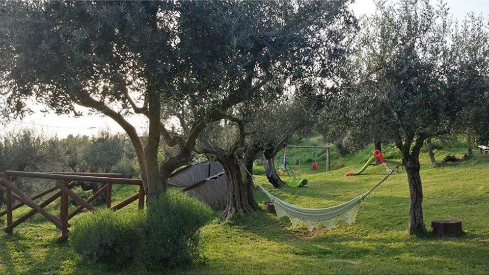 Fattoria Il Poggio Villa ซาน เฟลิชิอาโน ภายนอก รูปภาพ
