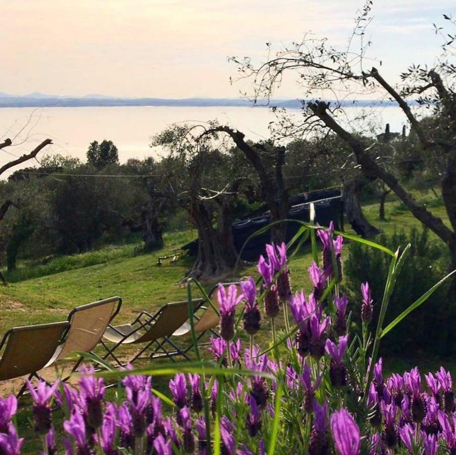Fattoria Il Poggio Villa ซาน เฟลิชิอาโน ภายนอก รูปภาพ