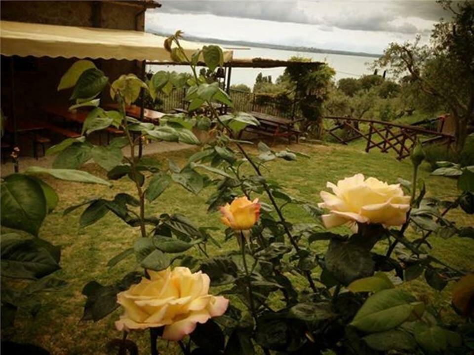 Fattoria Il Poggio Villa ซาน เฟลิชิอาโน ภายนอก รูปภาพ